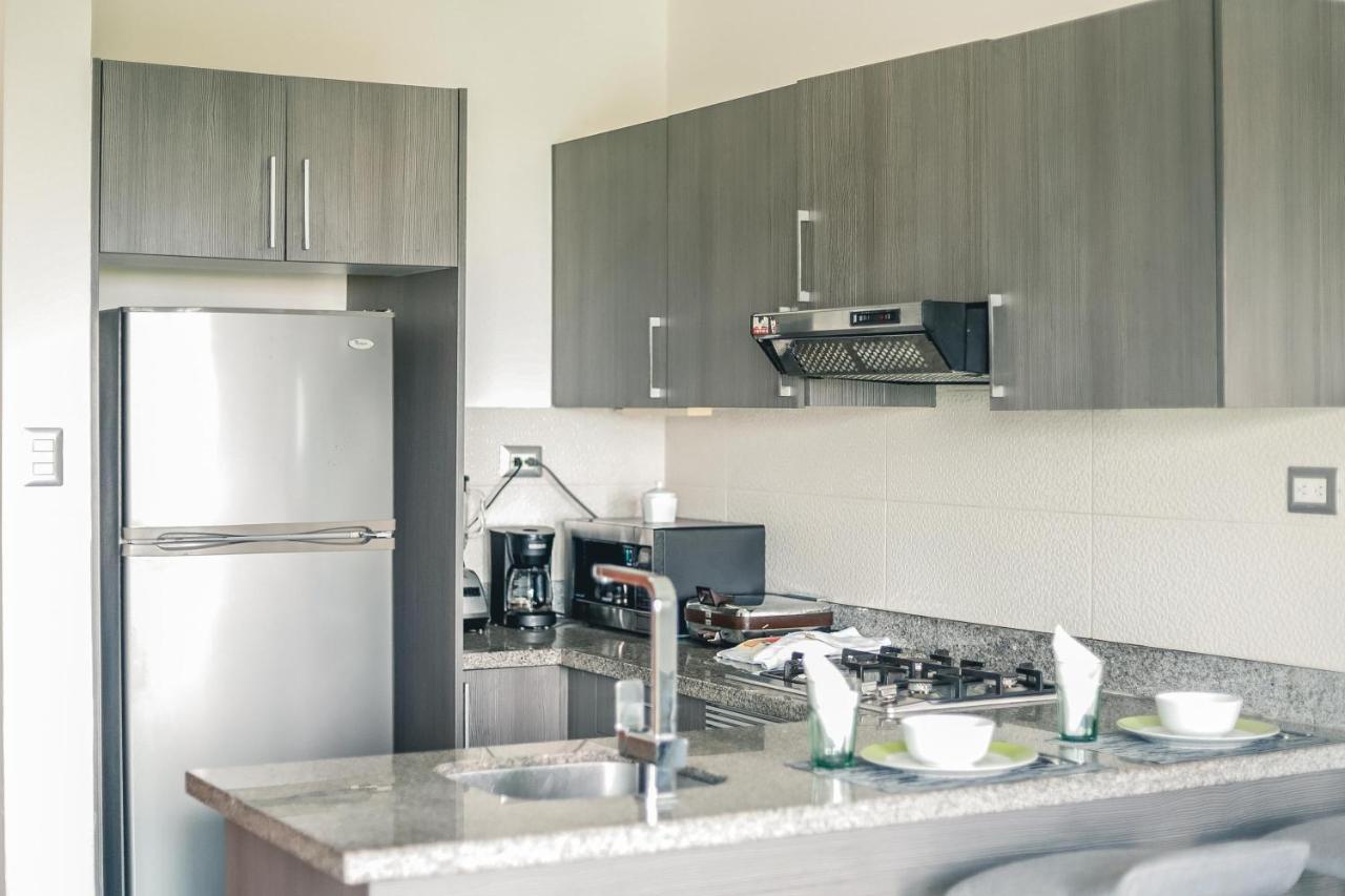 Armonia 408 Apartment In Gazcue Санто-Домінго Екстер'єр фото