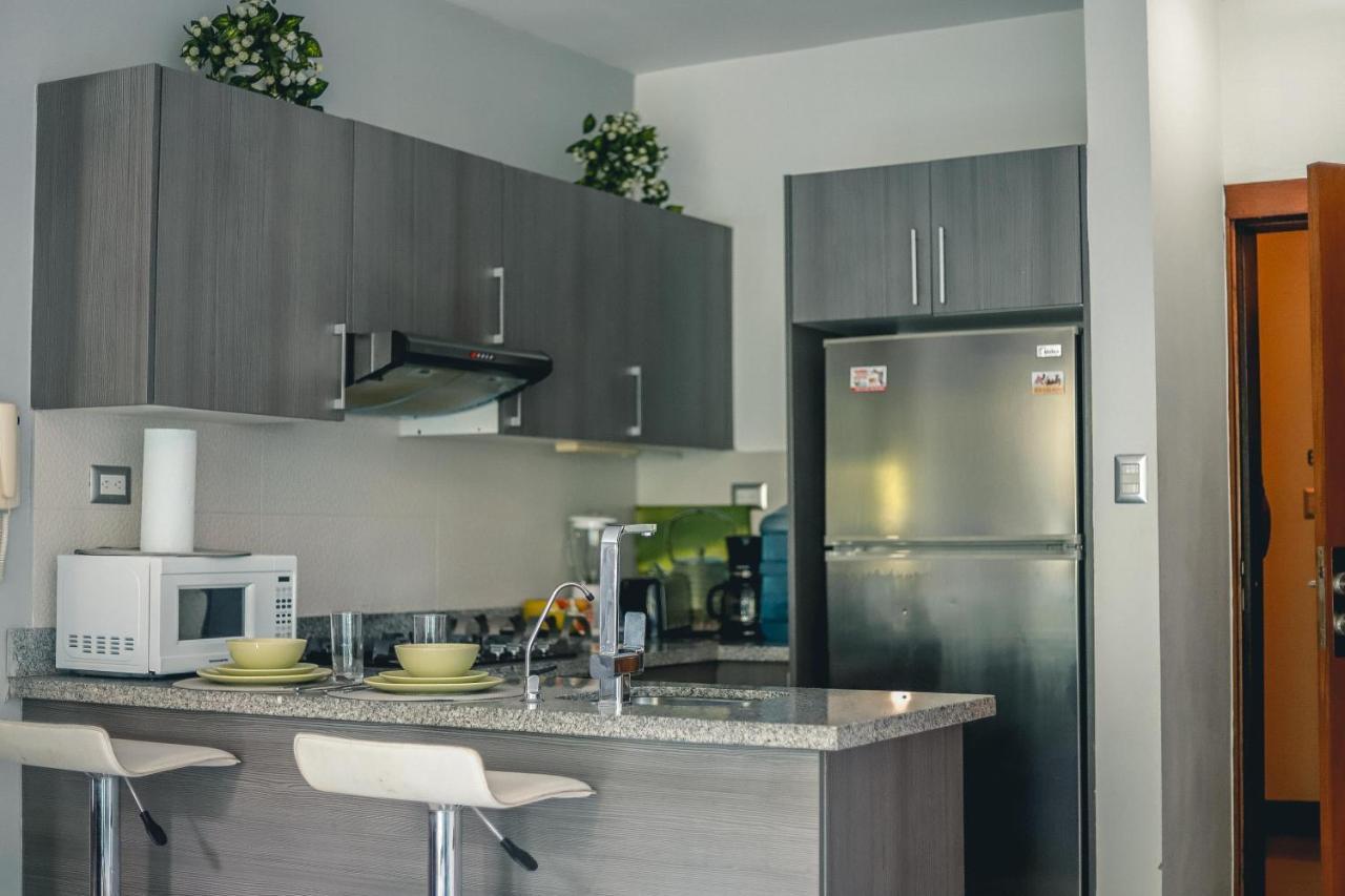 Armonia 408 Apartment In Gazcue Санто-Домінго Екстер'єр фото